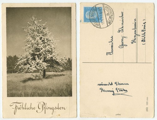 40969 fröhliche pfingsten - 40969,